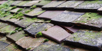 Whittlesford Bridge roof repair costs